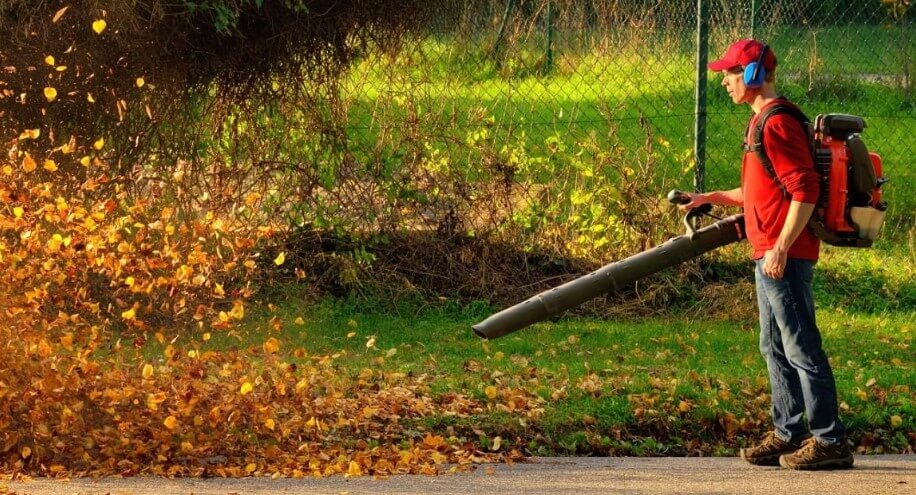 Choosing The Right Leaf Blower