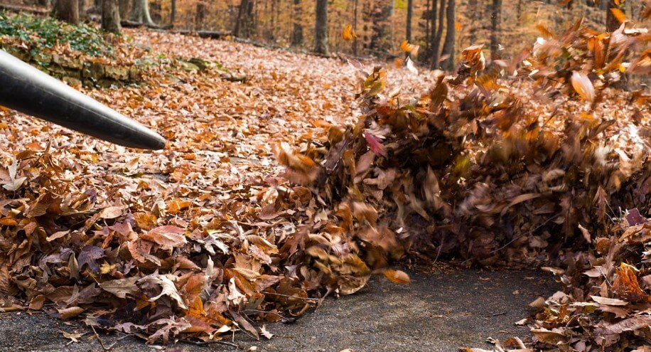 operate a leaf blower