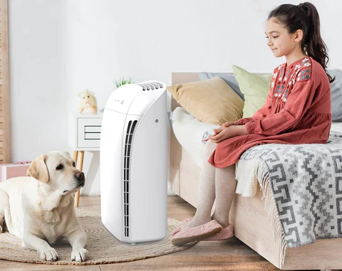 air purifiers dry out air: Lower the fan's speed