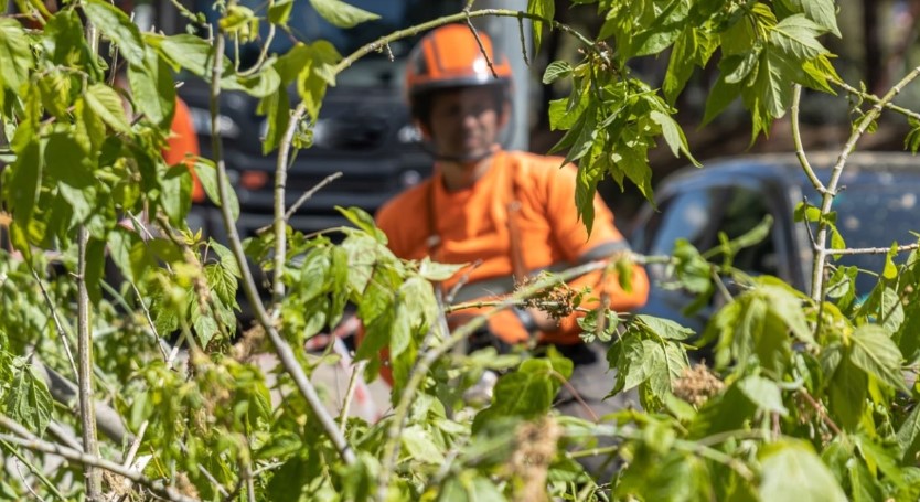 How To Use A Pruning Saw Safety