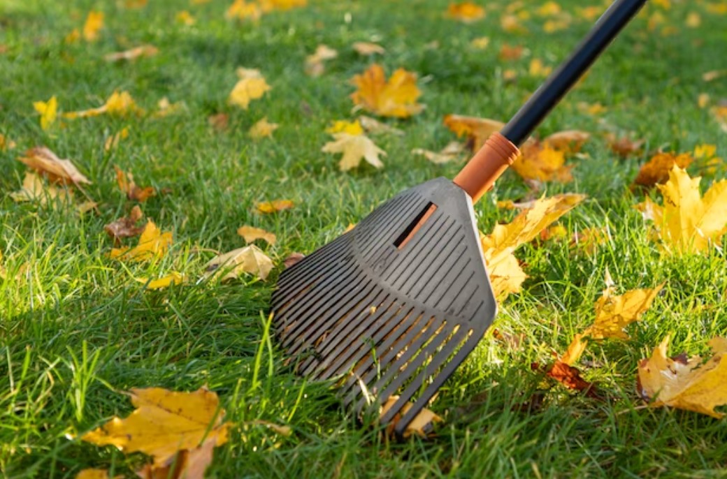 A Leaf Rake