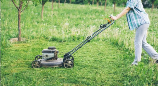 Craftsman Lawn Mower