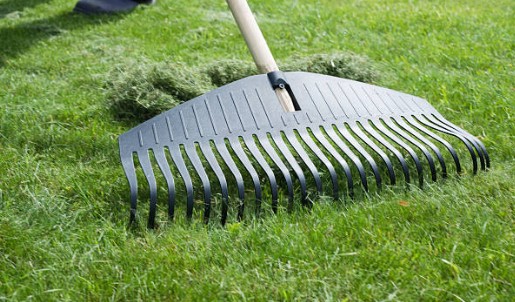 Rake