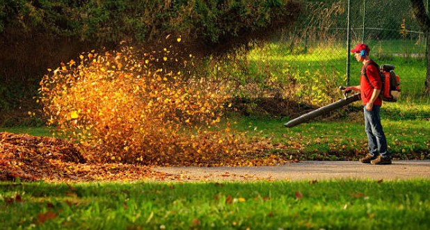 Electric Leaf Blowers: Pros and Cons