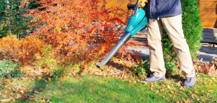 Gas Leaf Blowers: Pros and Cons