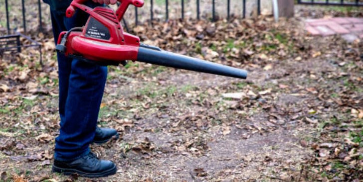 How to Find the Best Leaf Blower between Gas vs. Electric Leaf Blowers