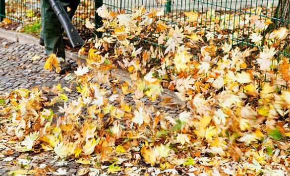 How do the maintenance requirements differ between gas and electric leaf blowers?