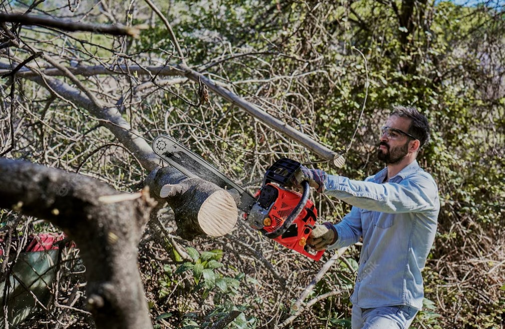 Can beginners use a chainsaw for pruning?