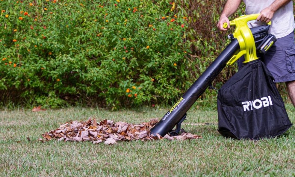 Advantages and Disadvantages of Leaf Blower vs Vacuum