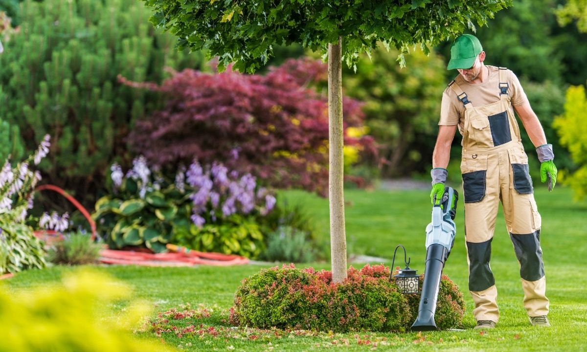 Consider your yard size and layout when choosing between Leaf Blower vs Vacuum