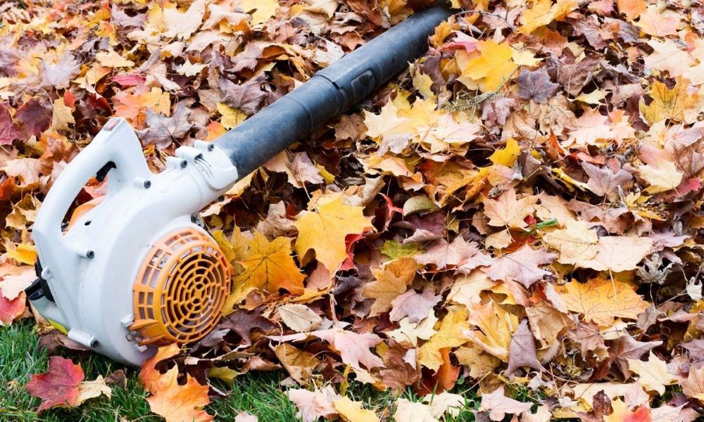 Consider the method of leaf disposal when choosing between Leaf Blower vs Vacuum