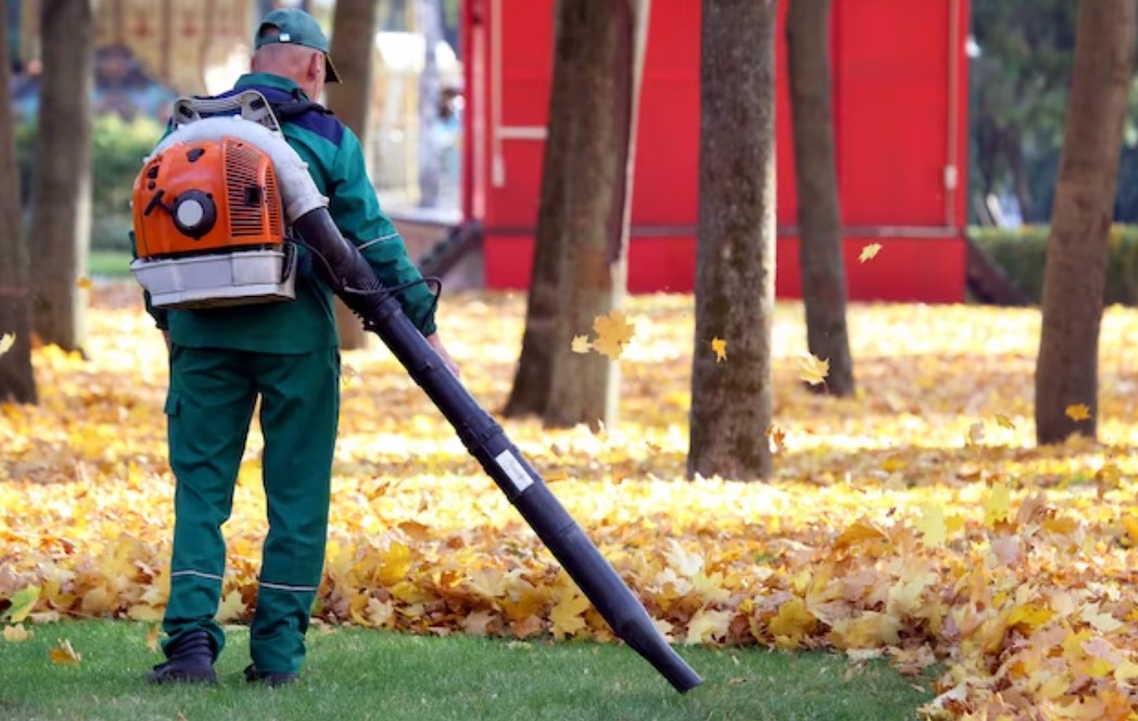 Comparing MPH VS CFM In Leaf Blowers