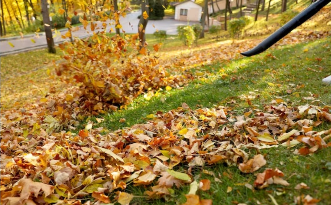 Comparing MPH VS CFM In Leaf Blowers