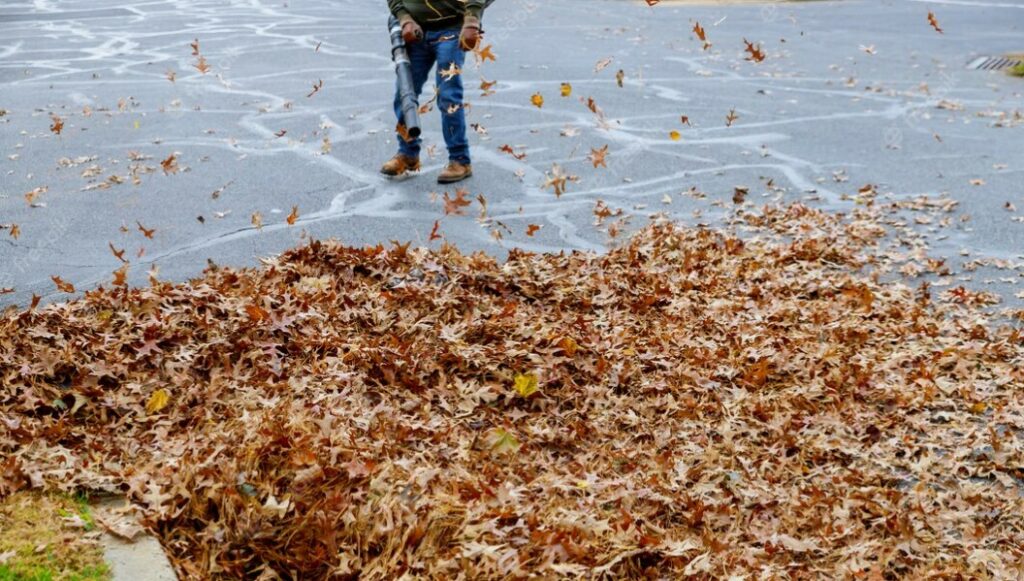 Handling Wet and Heavy Leaves in a Yard