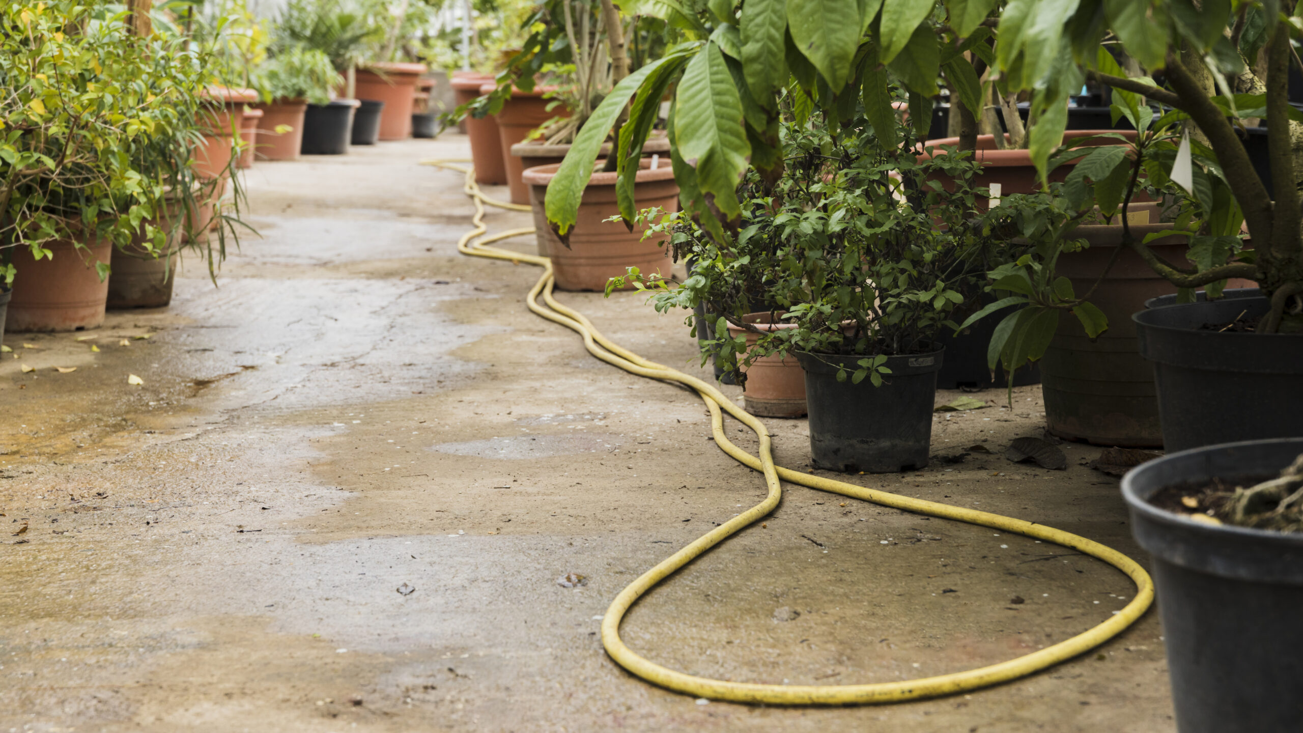 Factors Affecting Garden Hose GPM: Hose Length