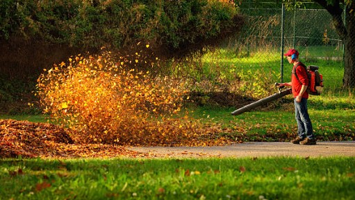 Start an Echo Leaf Blower