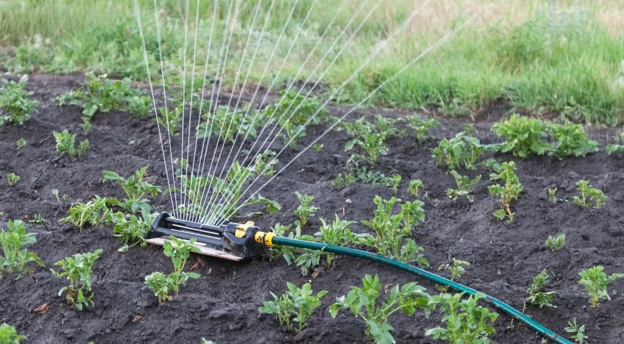 Tips for Burying a Garden Hose