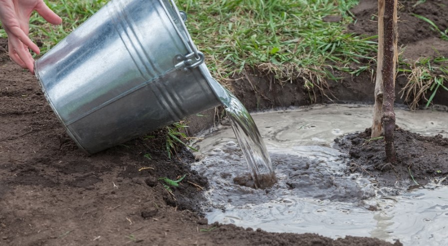 Moistening the Soil